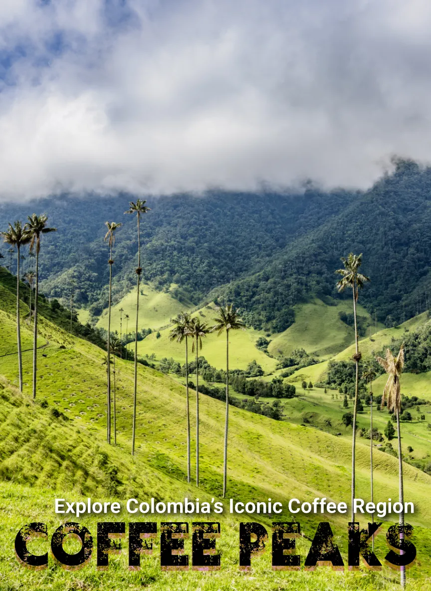 Coffee Peaks